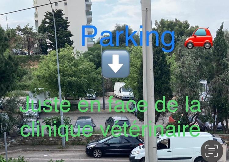 בסטיה Location Chambre Avec Salle De Bain Et Partie Commune Sea View & Mountain View Renting 1 Of 3 Bedrooms With Shared Common Space 3 Bdrm Apt Not 1 Bdrm Plus Clime Ou Ac מראה חיצוני תמונה